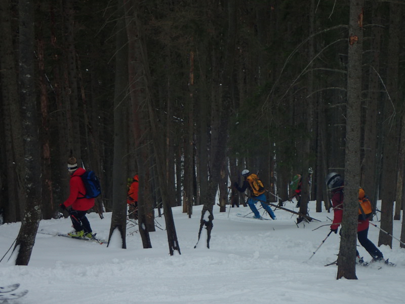 Symbolfoto Skitourenbasiskurs