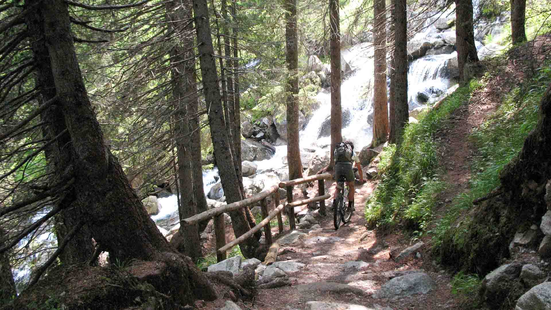20100702-00007.jpg